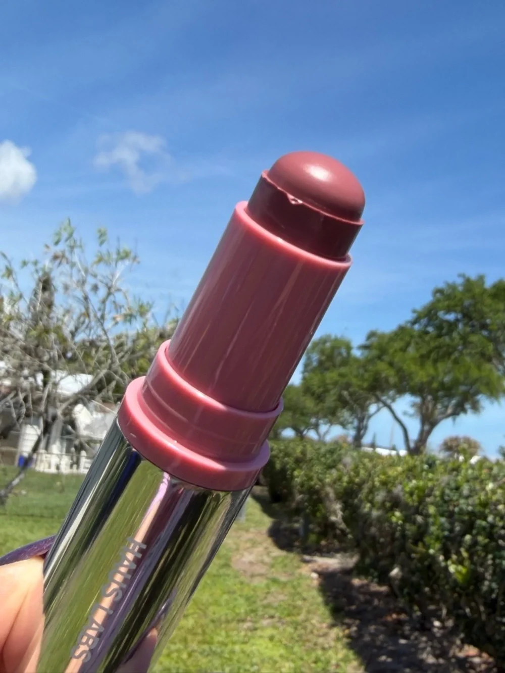 HAUS LABS By Lady Gaga Blush Balm Stick In Gassy Hibiscus (Deep Mauve)